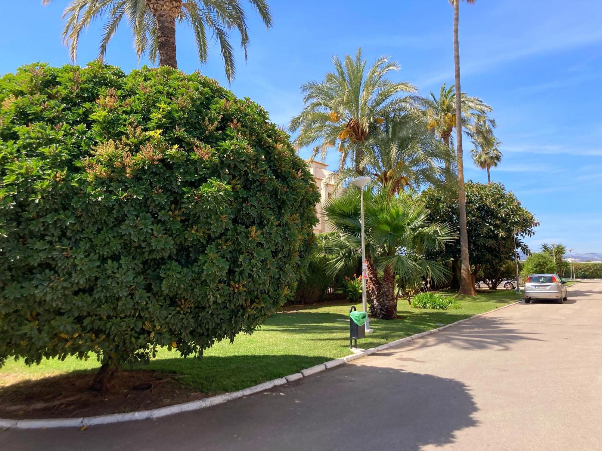 Apartamento Javea Arenal Playa Экстерьер фото